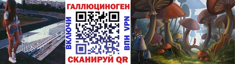 Купить закладки  Ставрополь  Галлюциногенные грибы Psilocybine cubensis 
